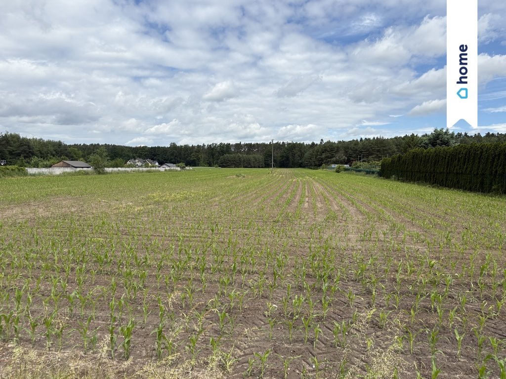 Na sprzedaż przestronna działka 4100 m² z warunkami zabudowy Siedliska  4 100m2 Foto 1