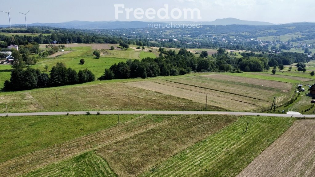 Działka budowlana na sprzedaż Kobylany  4 000m2 Foto 3