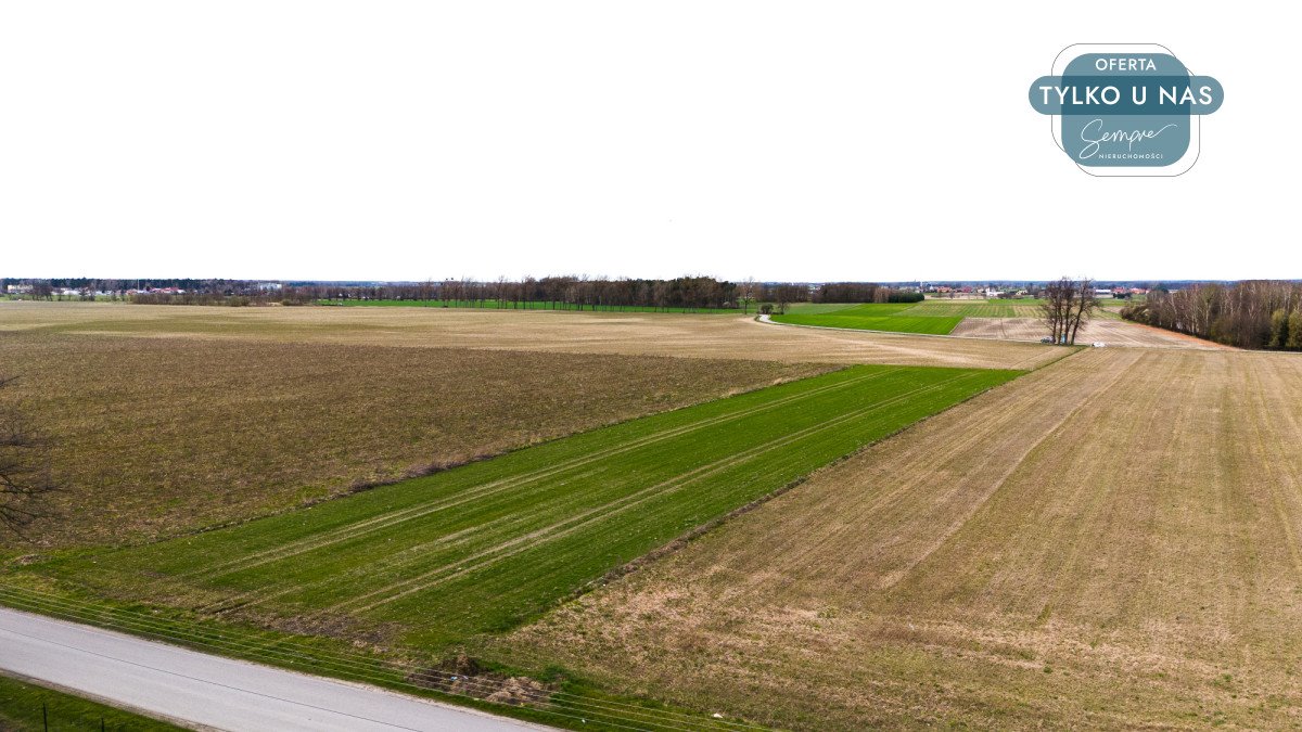 Działka rolna na sprzedaż Czarnocin, Juliusza Poniatowskiego  5 800m2 Foto 3