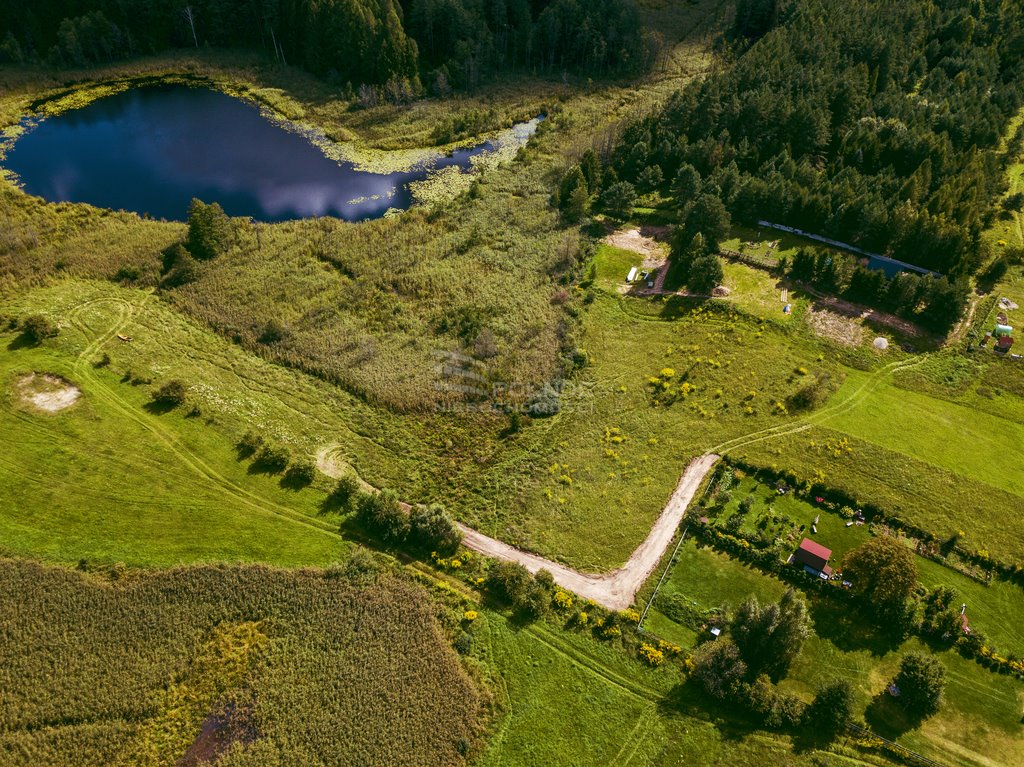 Działka budowlana na sprzedaż Płociczno  3 001m2 Foto 7