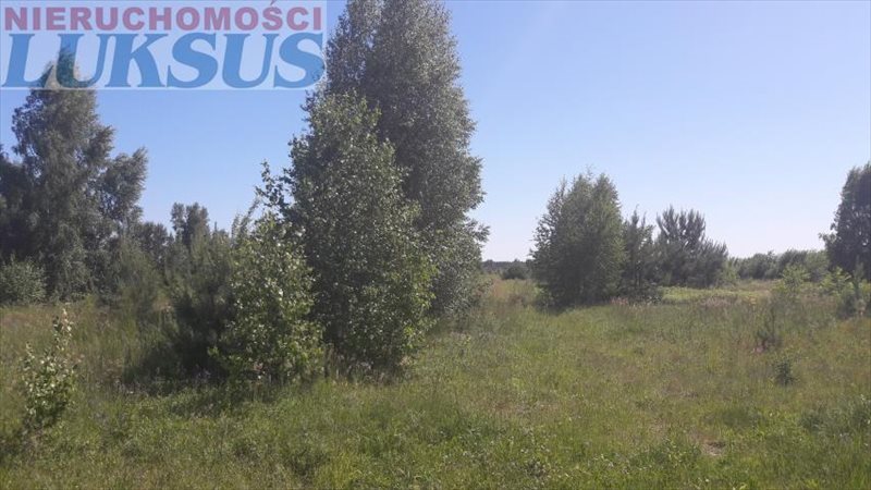 Działka budowlana na sprzedaż Nowe Racibory, Nowe Racibory 1 100m2 Foto 1 Działka budowlana na sprzedaż Nowe Racibory, Nowe Racibory 1 100m2 Foto 1