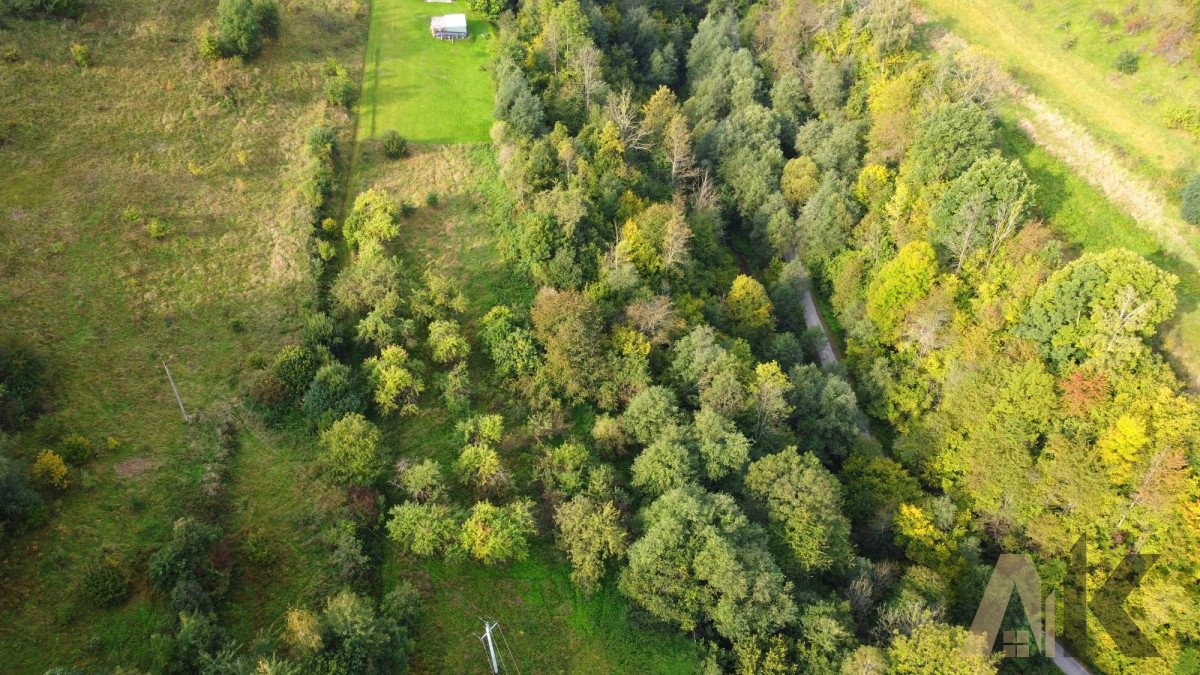 Działka budowlana na sprzedaż Zabrzeż  1 234m2 Foto 7