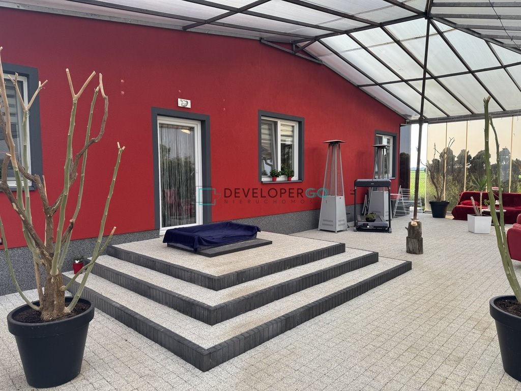 Pieczarkarnia z mieszkaniem i tarasem - gotowa inwestycja! polecam! Sosna-Kozółki  415m2 Foto 1