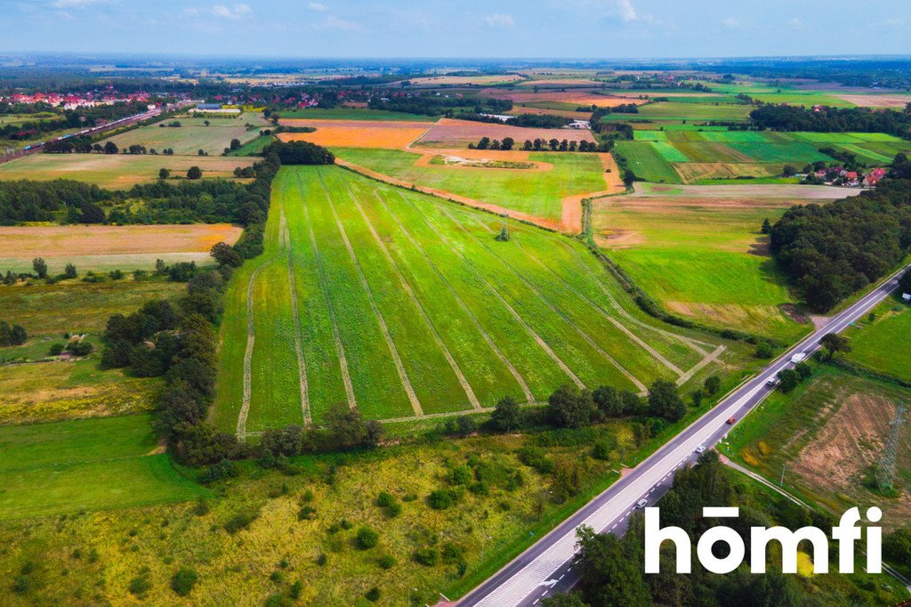 Działka przemysłowo-handlowa na sprzedaż Mazurowice  118 983m2 Foto 3