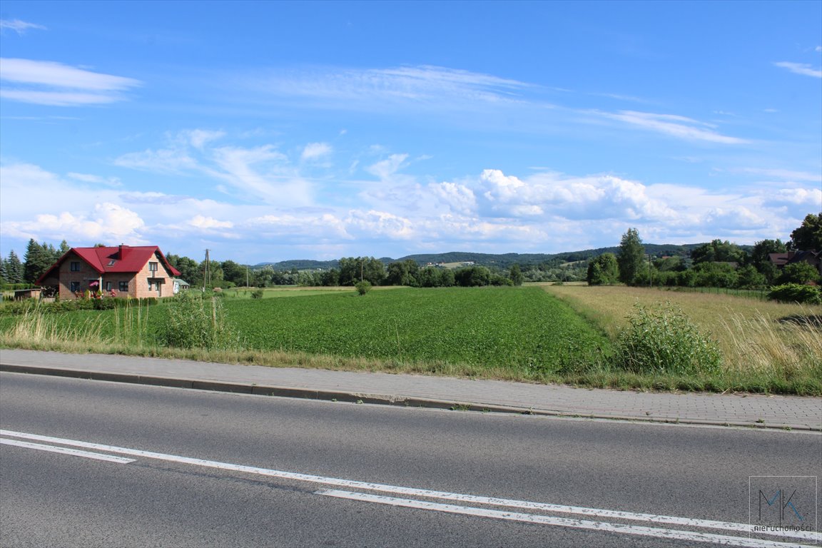 Działka budowlana na sprzedaż Winiary  1 100m2 Foto 4