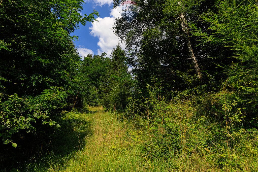 Działka rolna na sprzedaż Bystra  23 891m2 Foto 5