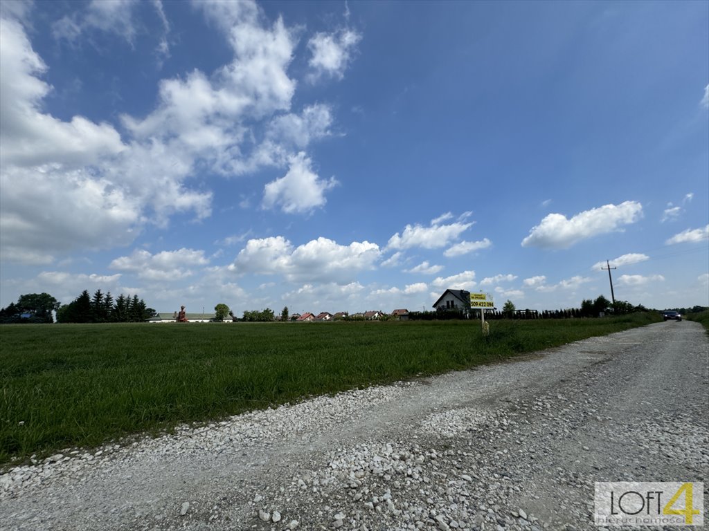 Działka budowlana na sprzedaż Borzęcin  2 600m2 Foto 12