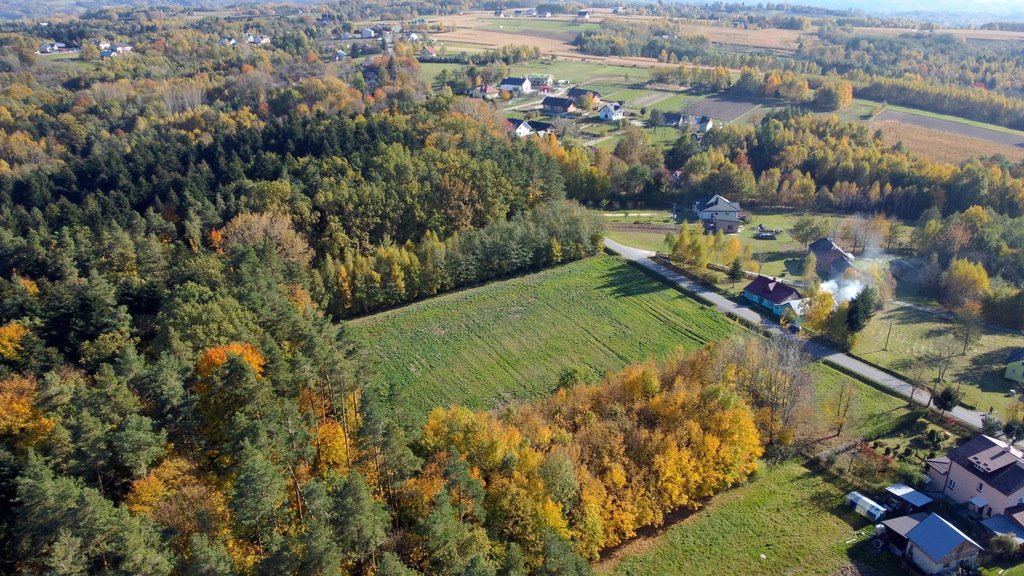 Działka budowlana na sprzedaż Cierpisz  1 670m2 Foto 4