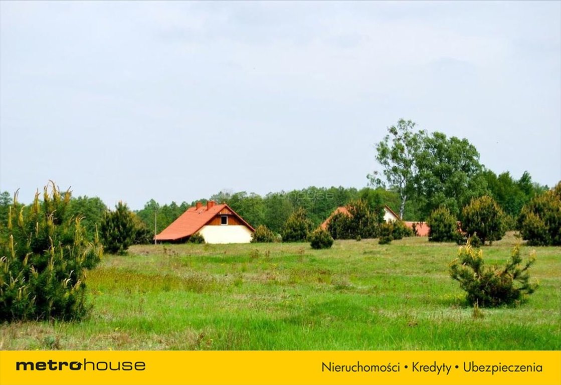 Działka siedliskowa na sprzedaż Pąchy  14 200m2 Foto 8