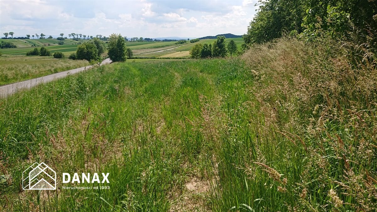 Działka inna na sprzedaż Czułówek  2 300m2 Foto 15