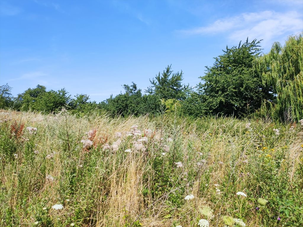 Działka budowlana 1794 m² z mediami i dostępem do drogi Dobromierz  1 794m2 Foto 1