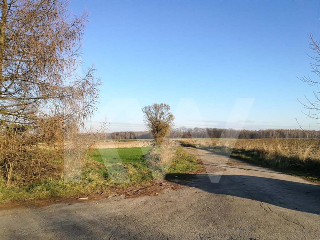 Działka budowlana na sprzedaż Ćwiklice 800m2 Foto 1 Działka budowlana na sprzedaż Ćwiklice 800m2 Foto 1