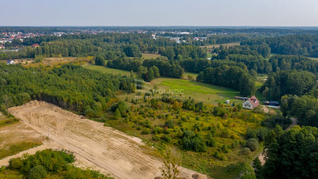 Działka budowlana na sprzedaż Zaścianki, Szlachecka  5 576m2 Foto 7