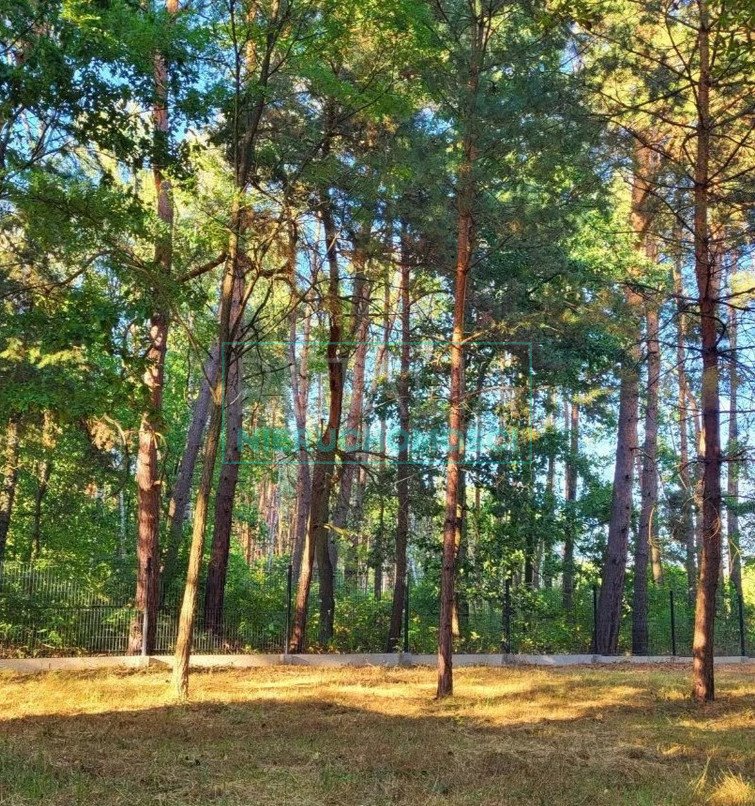 Działka budowlana na sprzedaż Budy Mszczonowskie  3 000m2 Foto 1