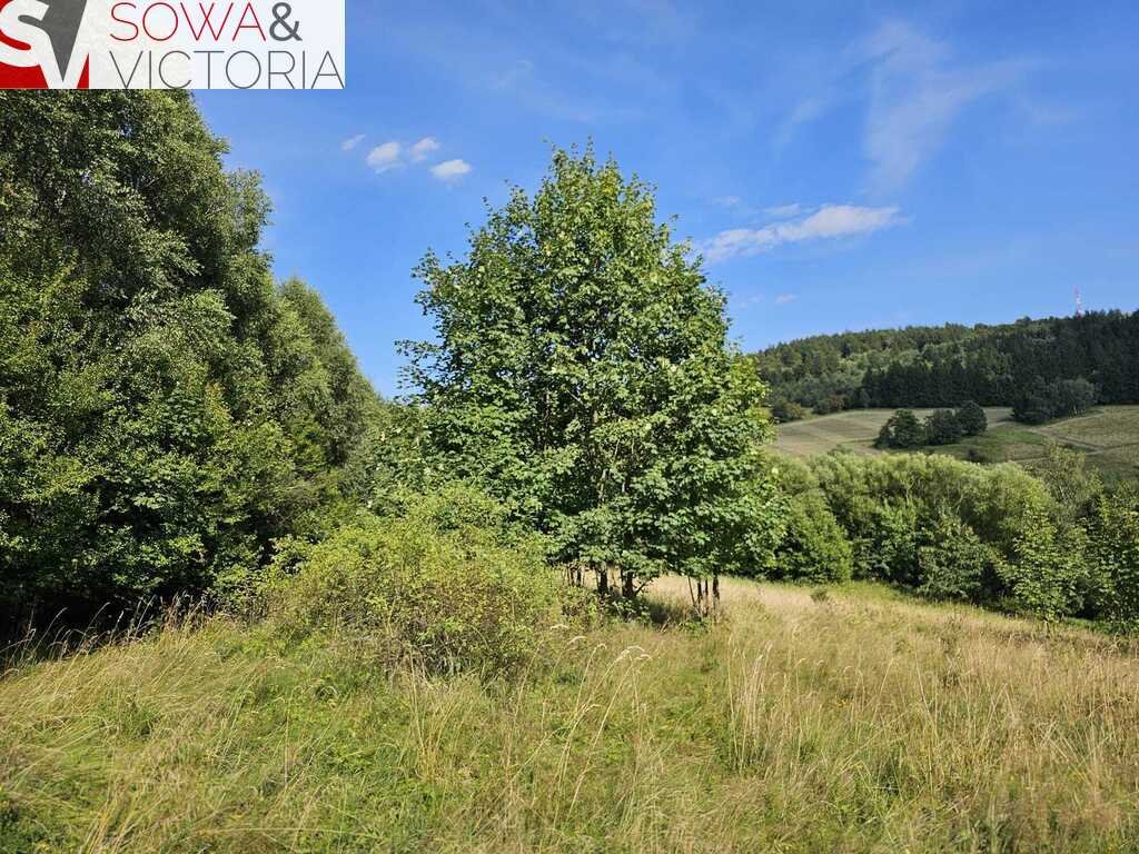 Działka budowlana na sprzedaż Sierpnica  1 078m2 Foto 7