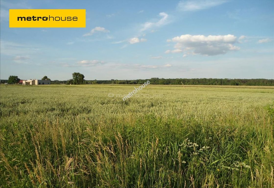 Działka inna na sprzedaż Poznań, Szczepankowo, Gościnna  2 000m2 Foto 1