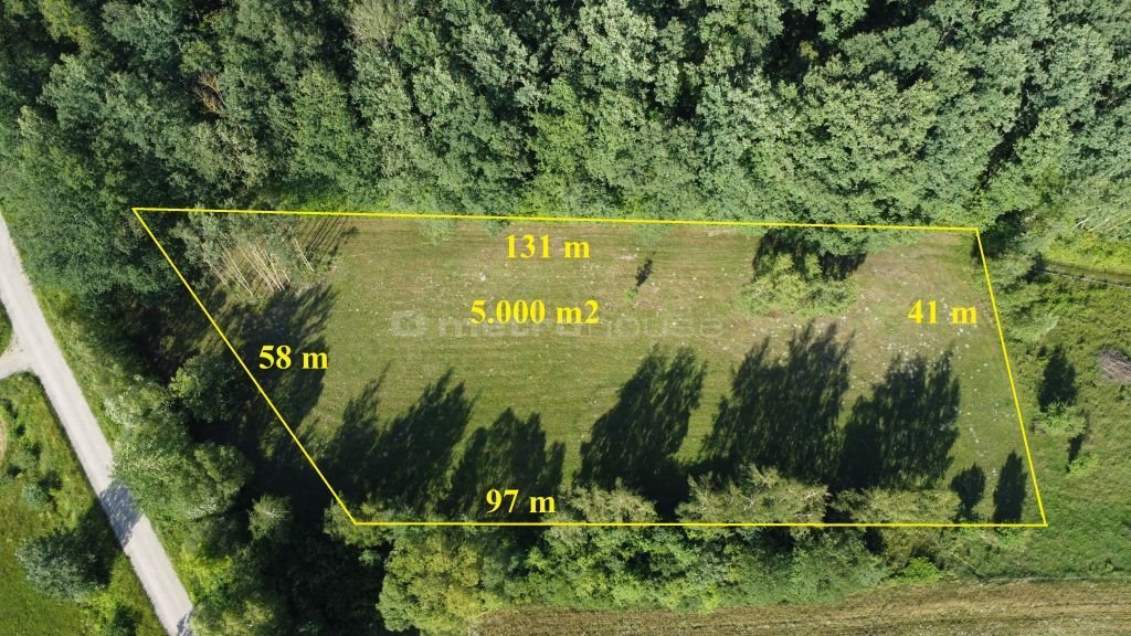 Działka inna na sprzedaż Ciepielin  5 000m2 Foto 1