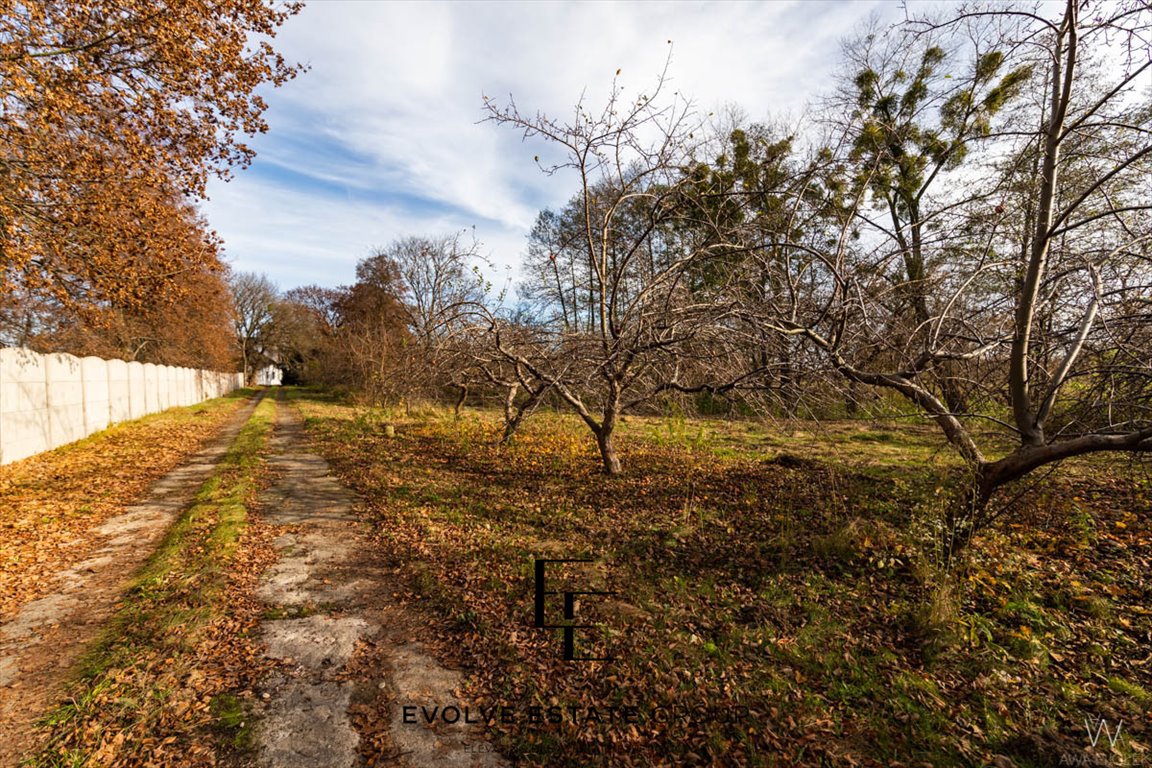 Dom na sprzedaż Sochaczew  540m2 Foto 13