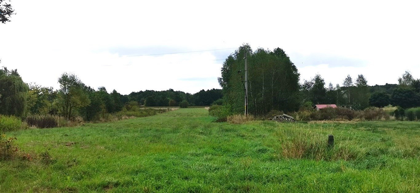 Działka pod zabudowę w Jasionce, 7 200 m2, media w granicy Trzebownisko  7 200m2 Foto 1