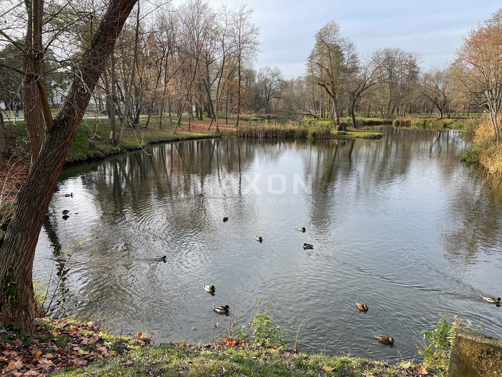 Działka budowlana na sprzedaż Konstancin-Jeziorna  3 300m2 Foto 4