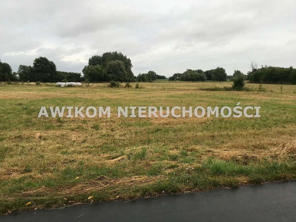 Działka 1800 m² z warunkami zabudowy, asfalt, media Baranów/Grodzisk Mazowiecki, Baranów/Kopiska  1 800m2 Foto 1