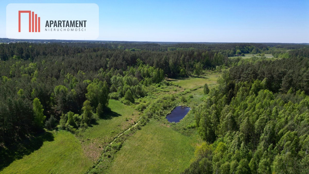 Działka budowlana na sprzedaż Borzechowo  46 200m2 Foto 5