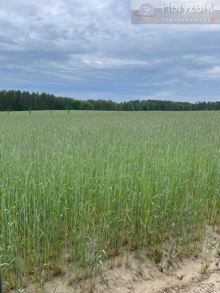 Działka inwestycyjna na sprzedaż Chociwel  500 000m2 Foto 7