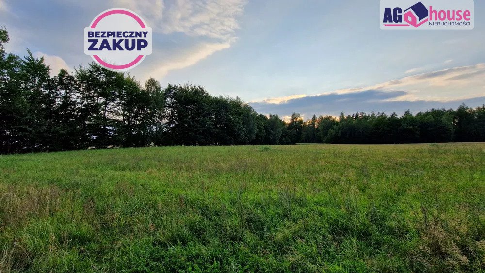 Działka budowlana na sprzedaż Pieski  1 231m2 Foto 1