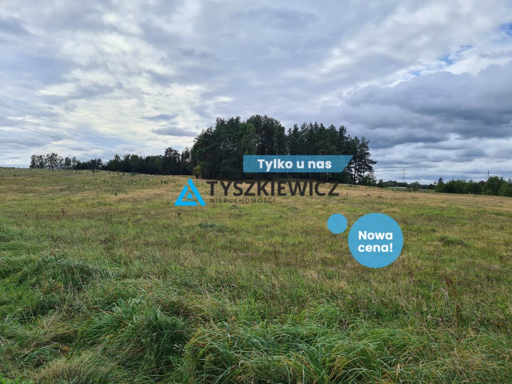 Działka rolna na sprzedaż Skorzewo  53 000m2 Foto 1