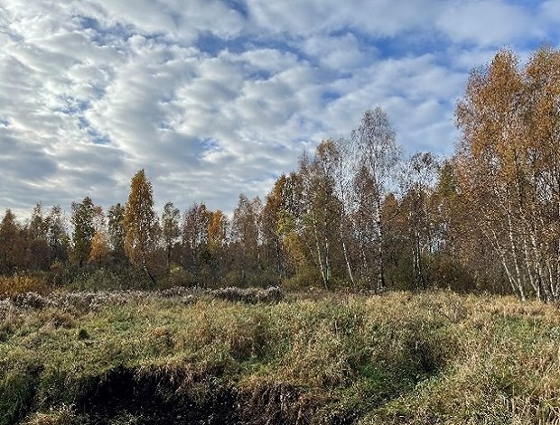 Działka rolna na sprzedaż Izbica  257 200m2 Foto 2