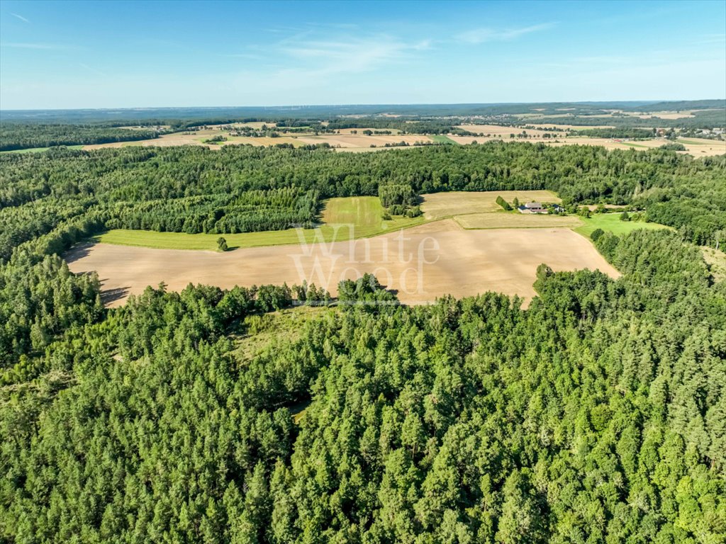 Działka rolna na sprzedaż Kętrzyno  453 100m2 Foto 4