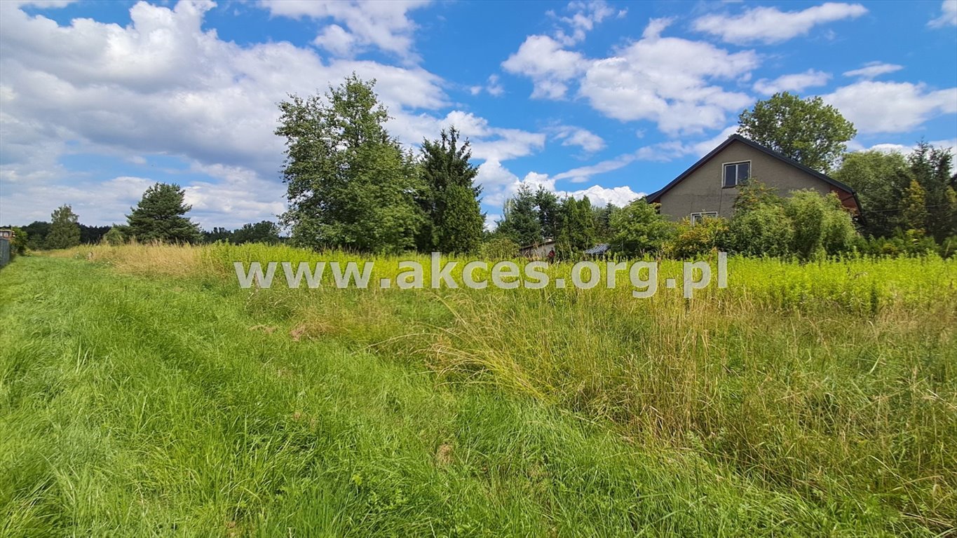 Działka budowlana na sprzedaż Tomice  13 600m2 Foto 3