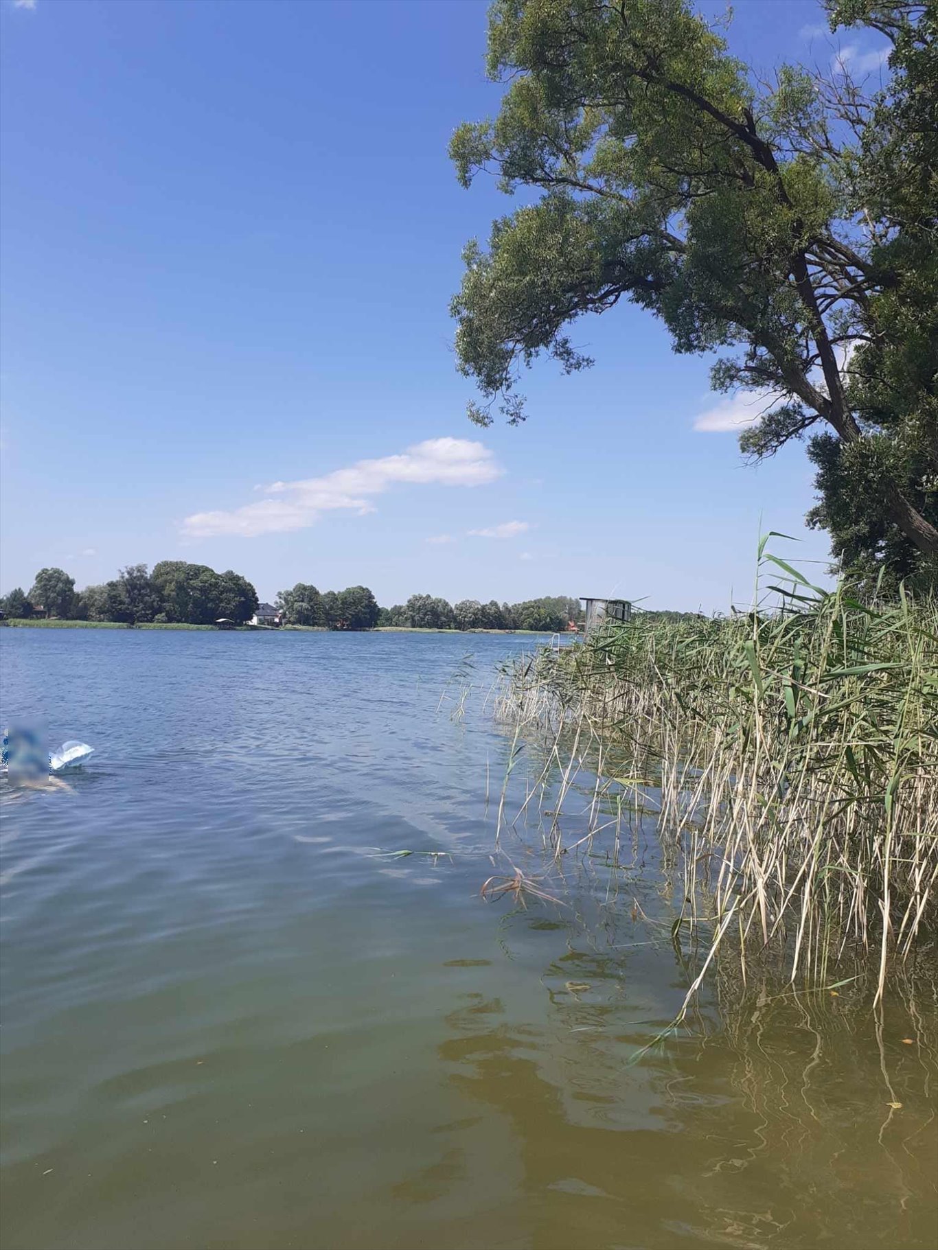 Działka budowlana na sprzedaż Pasym, Polna  1 390m2 Foto 11