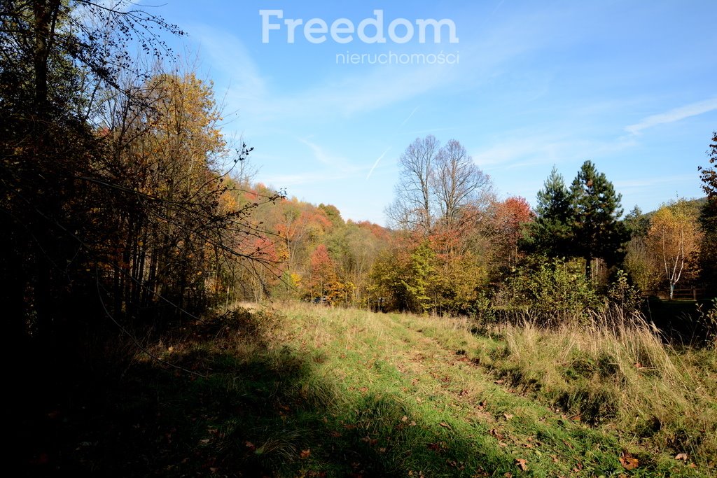 Działka budowlana na sprzedaż Ponikiew  2 846m2 Foto 12