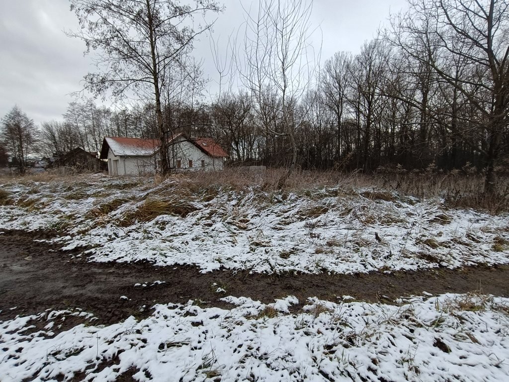 Działka budowlana na sprzedaż Zgorzelec  1 126m2 Foto 8