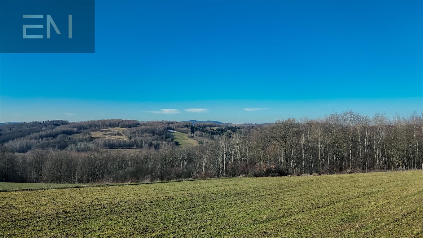 Widokowa działka 56 ar w Niewodnej – spokój i natura Niewodna  5 600m2 Foto 1