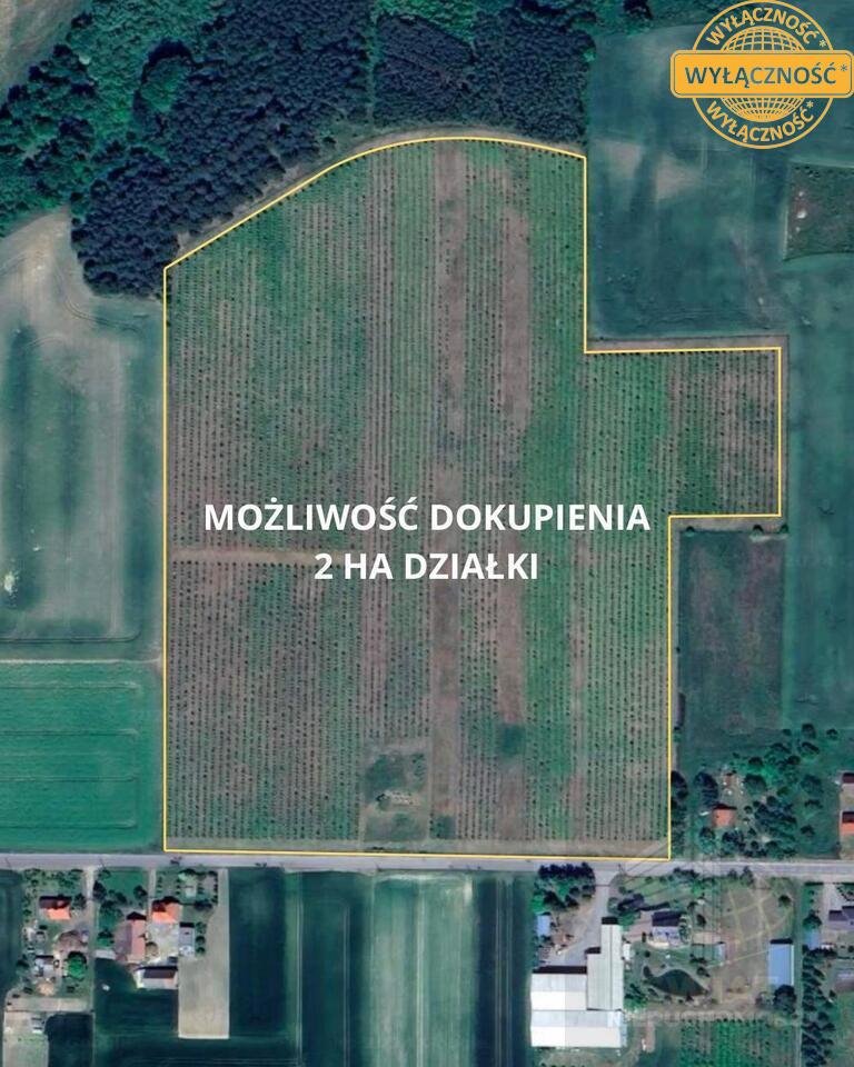 Magazyn na sprzedaż Dobiegniew  2 162m2 Foto 20