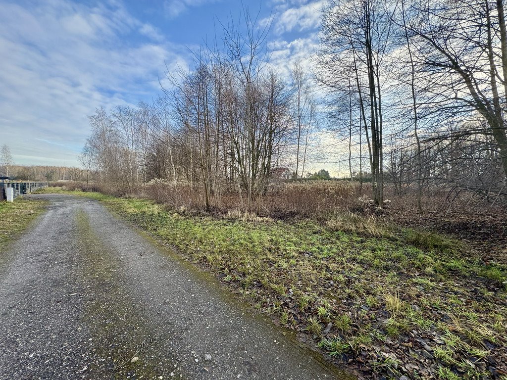 Działka budowlana na sprzedaż Borowina  2 200m2 Foto 2