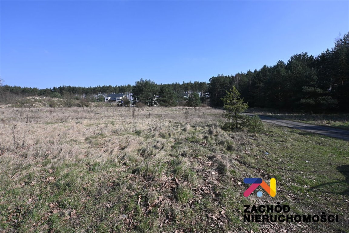 Polecam działkę 0,1398 ha z dostępem do lasu i dobrym dojazdem Zielona Góra, Przylep  1 398m2 Foto 1