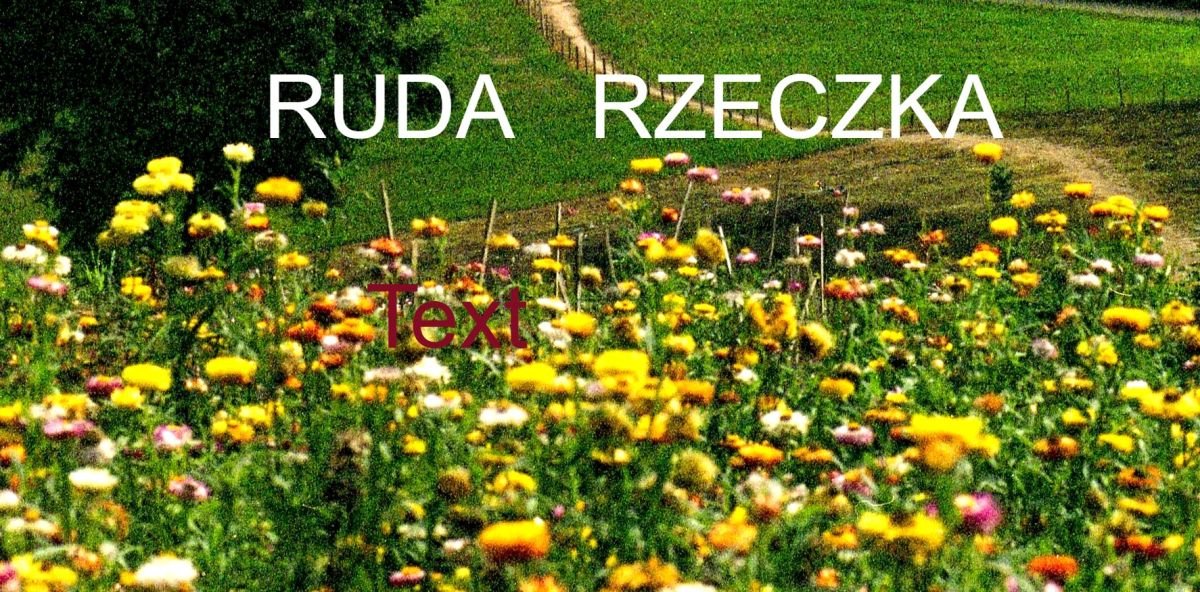 Działka gospodarstwo rolne na sprzedaż Ruda Rzeczka  5 600m2 Foto 1