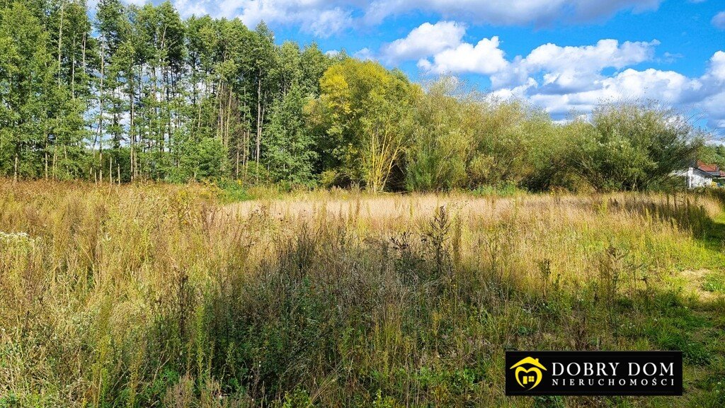 Działka 1000 m² z planem, las i spokojna okolica Kuriany  1 000m2 Foto 1