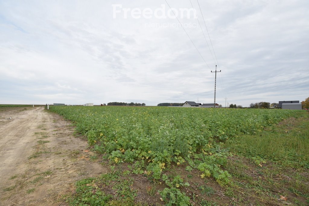 Działka budowlana na sprzedaż Świerczów  1 320m2 Foto 4