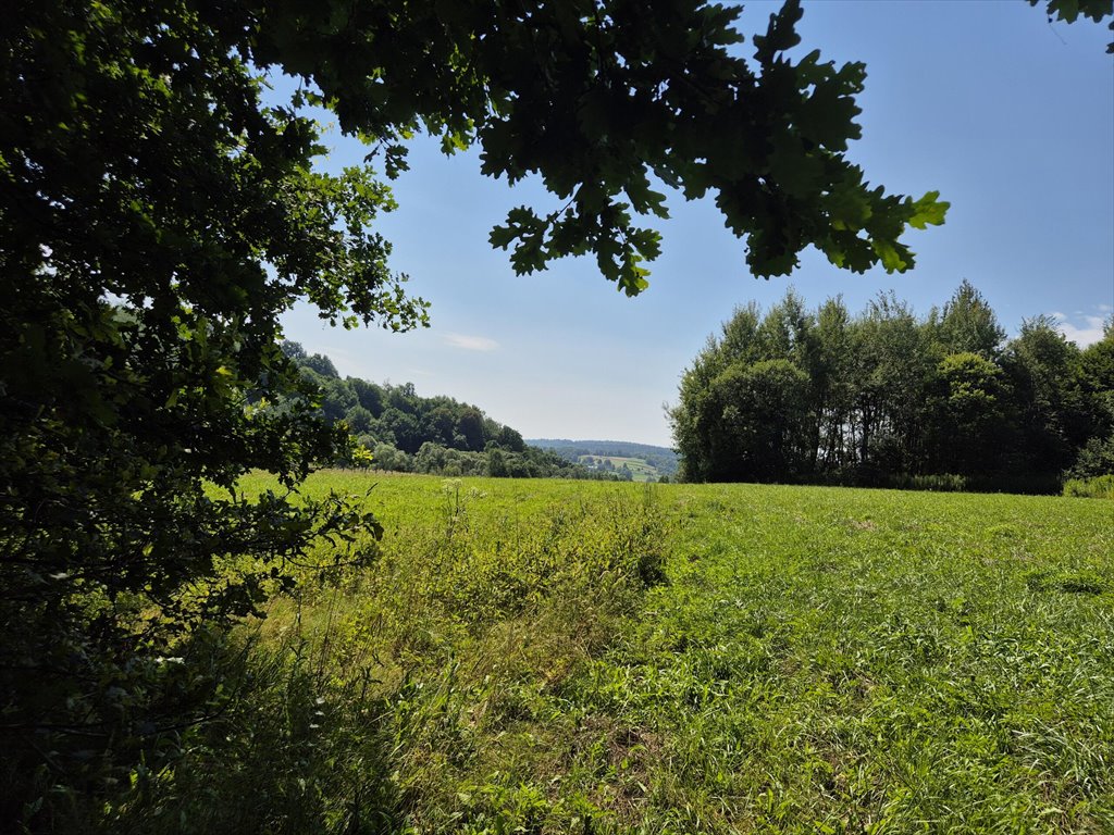 Działka rolna na sprzedaż Golcowa  8 051m2 Foto 11