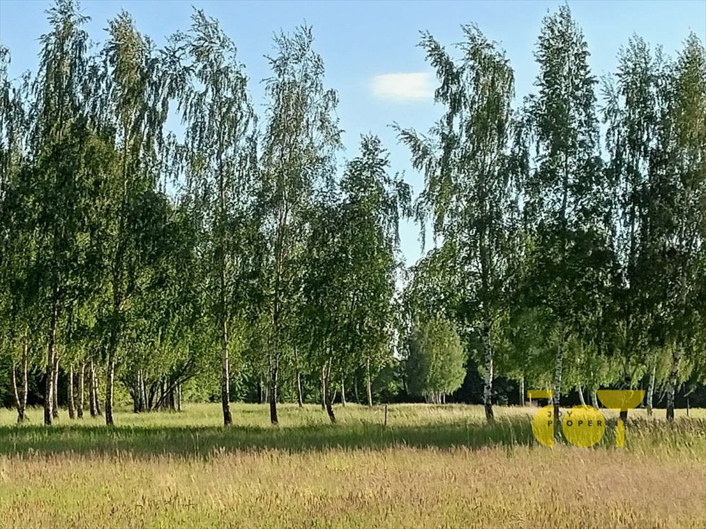 Działka budowlana na sprzedaż Słomczyn, Wilanowska  3 058m2 Foto 12