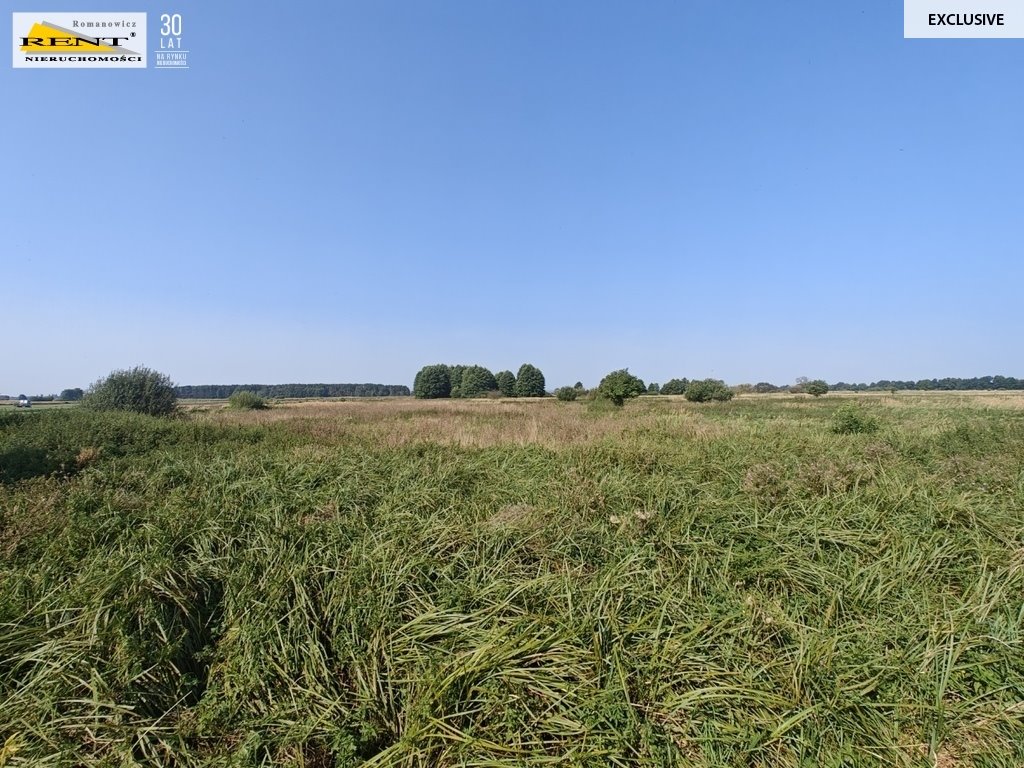 Działka rolna na sprzedaż Rurzyca  20 400m2 Foto 1