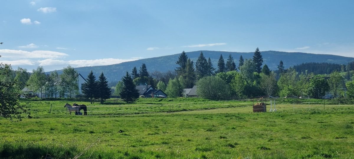 Działka inwestycyjna 8900 m² z domem do remontu Karpniki Karpniki  450m2 Foto 1