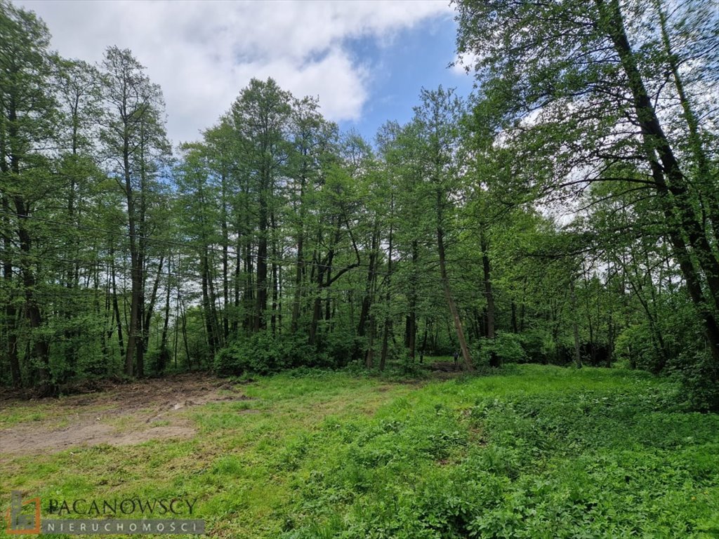 Działka 1ha z budynkiem, media, las, spokojna okolica Zamłynie  10 000m2 Foto 1