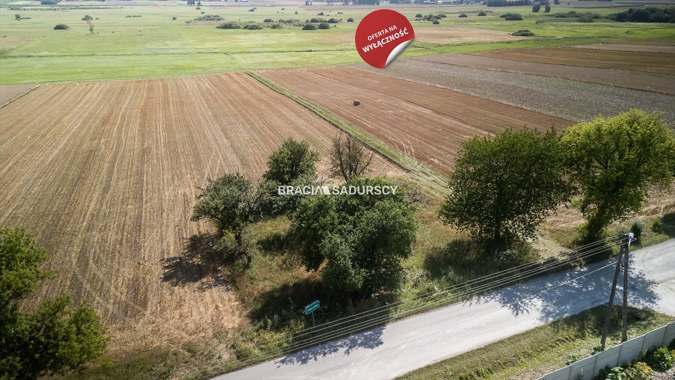 Działka budowlana na sprzedaż Sędziszów, Podsadek  7 500m2 Foto 10