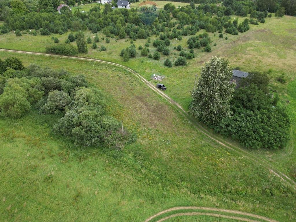 Działka rolna na sprzedaż Ełganowo  20 000m2 Foto 3