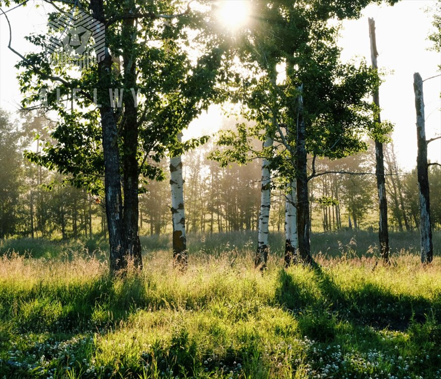 Działka budowlana na sprzedaż Lesznowola  2 230m2 Foto 2